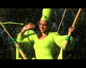 Bauhaus in Gr�n � der Film zur Errichtung