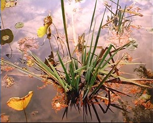 Ausstellung im Doppelpack Walter Bergmoser und Ville Lenkkeri