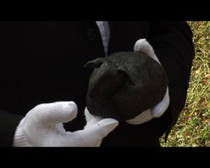 Jena.TV: Schwarzes Schaf der Denkmalpflege