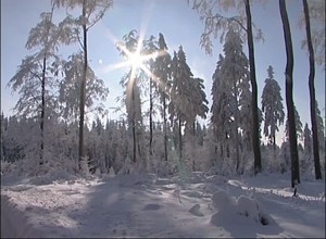 S�dth�ringer Regionalfernsehen: Winter am Rennsteig