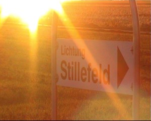 Spurensuche Lichtung Stillefeld - Gerhard Mevissen