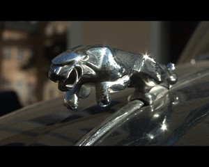 Ostth�ringen TV: The Royal Automobile Club