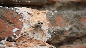 Deaddrops - geheimer Stick im Mauerwerk
