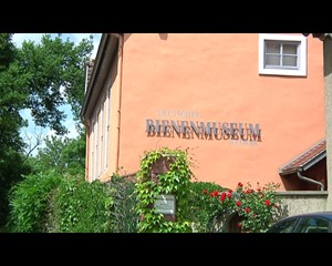 Salve Tournee: Regionale K�che und native Oliven�le