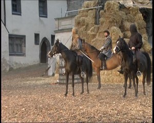 Altenburg.TV: Prinzenraubfestspiele