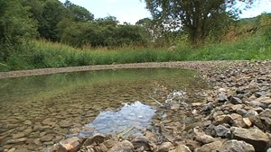 Jena.TV: Feuchtbiotope in Leutra angelegt