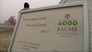 4000 B�ume