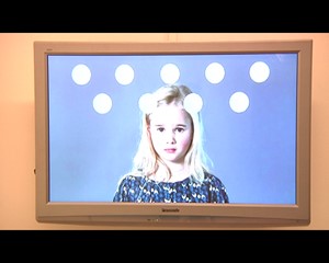 Erfurter Kunsthalle: S�dkoreanische K�nstler stellen aus