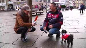 Weihnachten, Silvester alles gut �berstanden? 