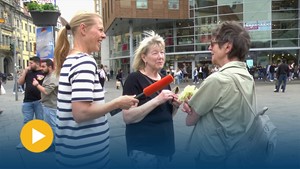 �Erfurt bald autofreie Stadt�