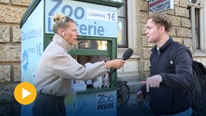Halloween-Schock in Erfurt: Licht aus oder Akku leer? | Anja unterwegs